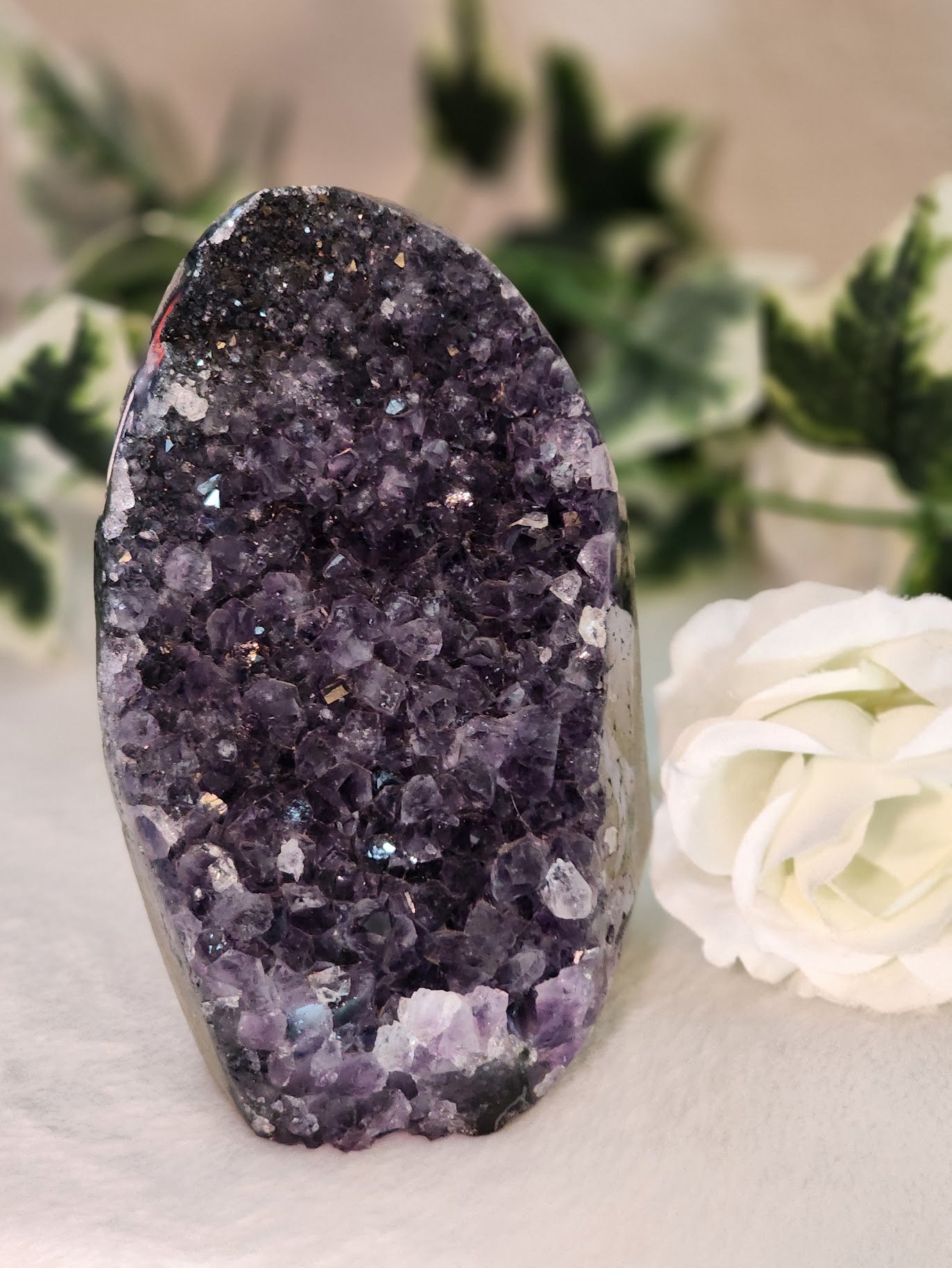 Large Amethyst Freeform