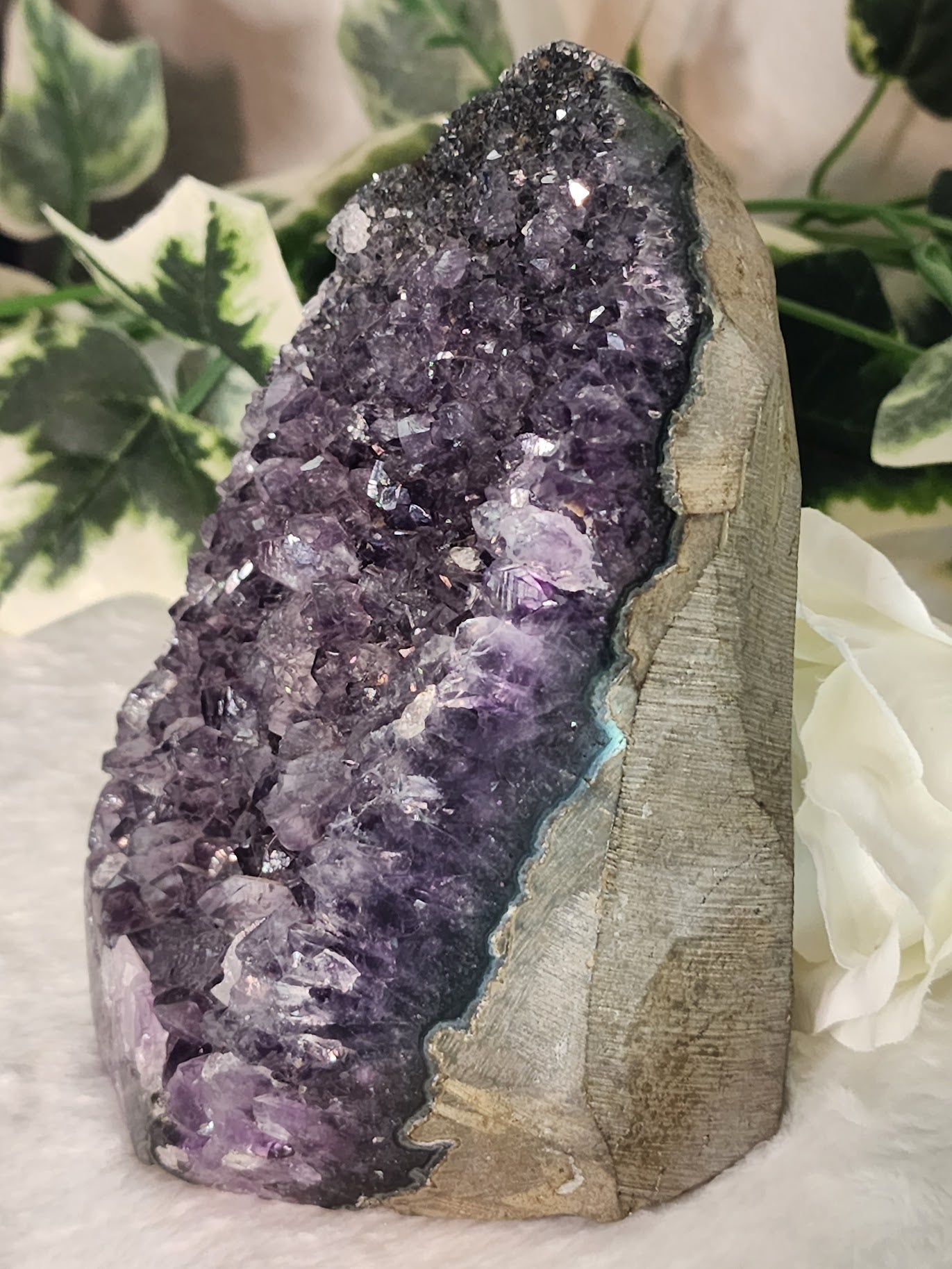 Large Amethyst Freeform