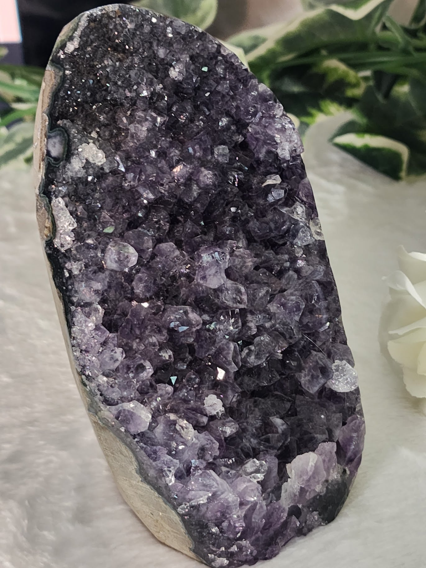 Large Amethyst Freeform