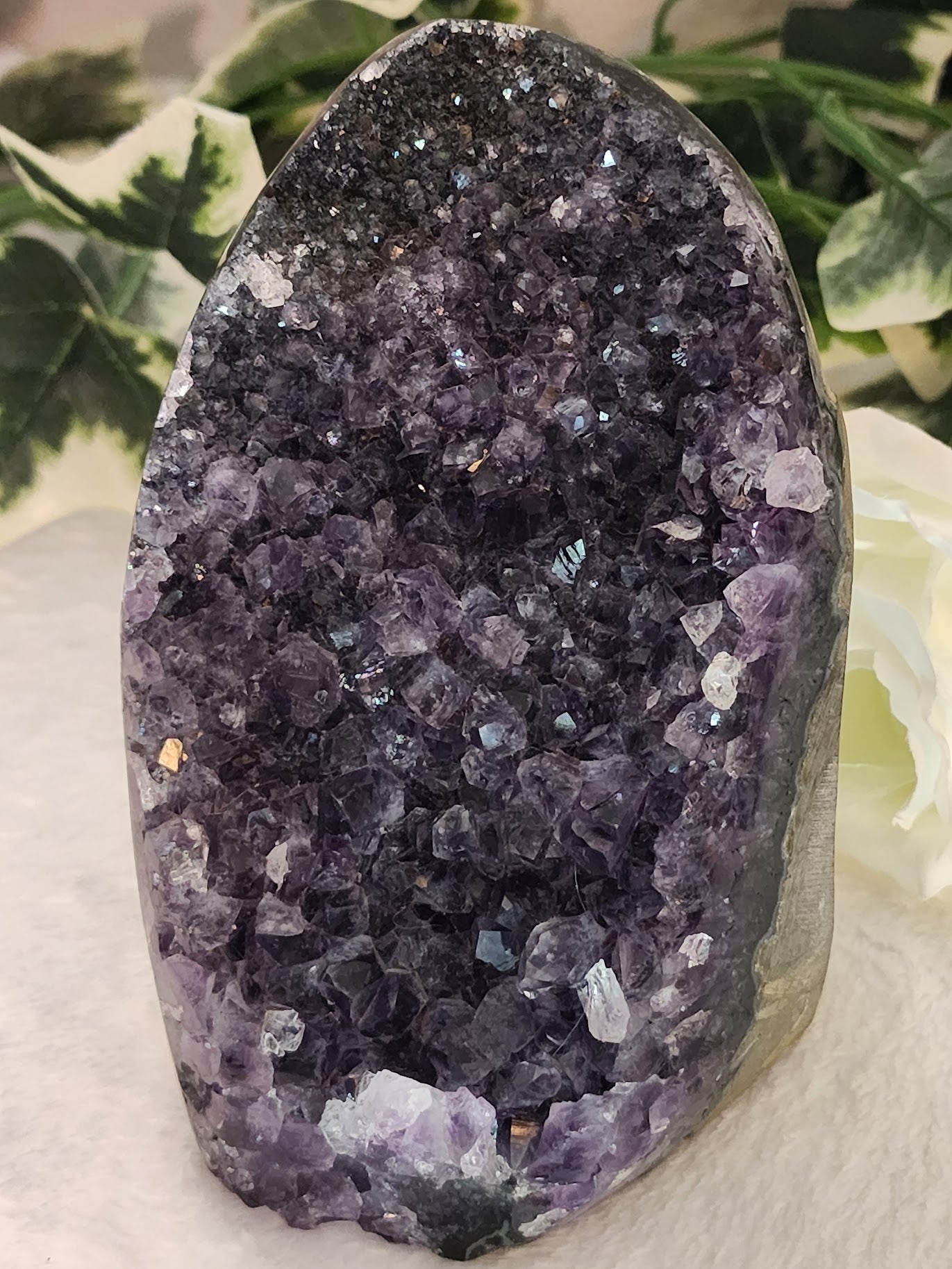 Large Amethyst Freeform