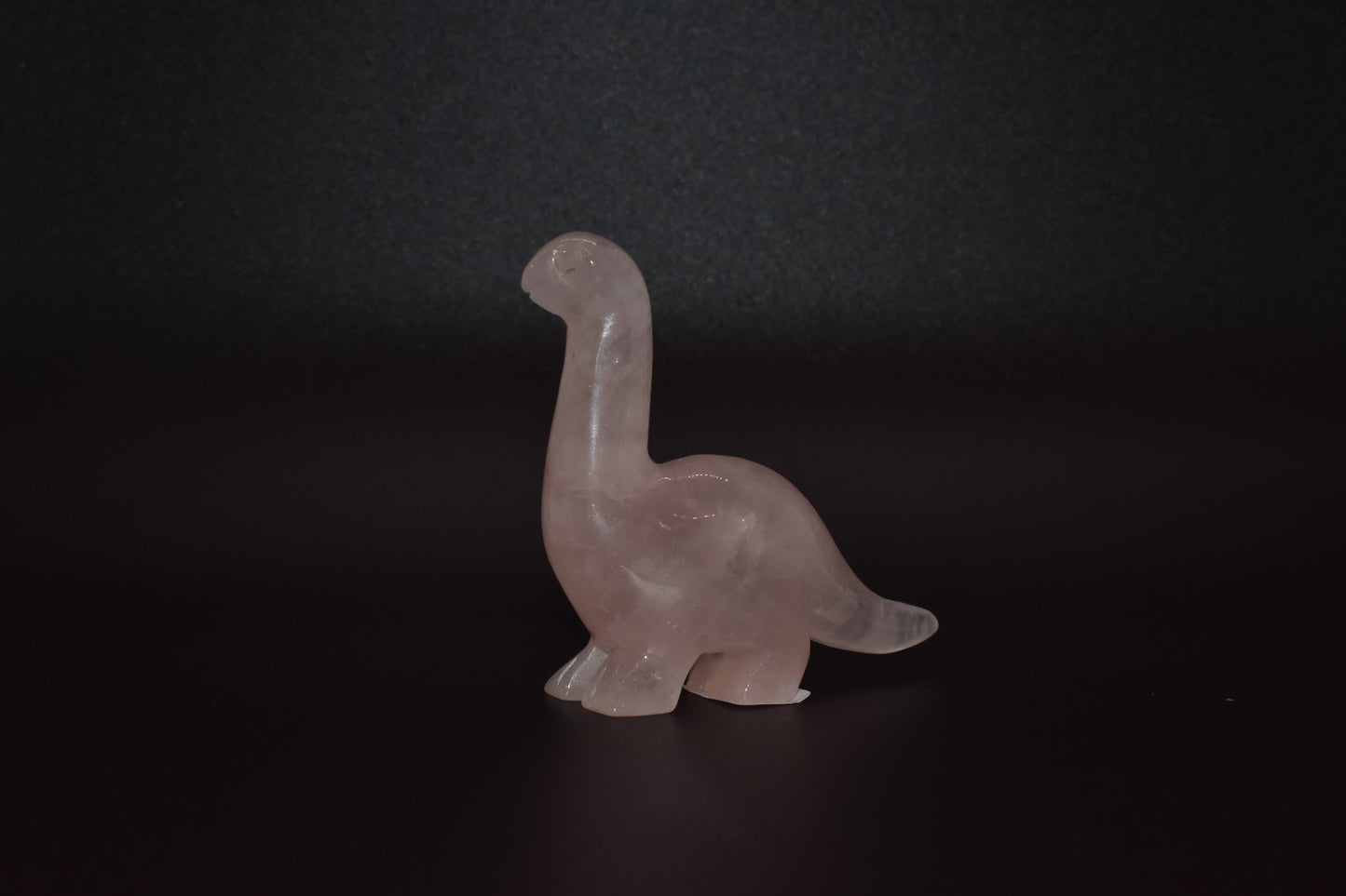 Dinosaurs