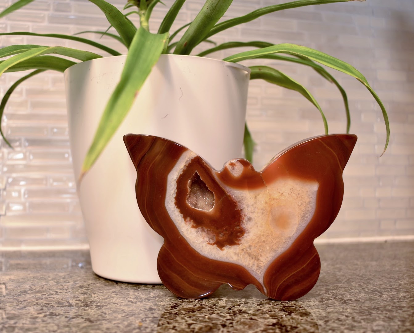 *RARE* Carnelian Carved Butterfly