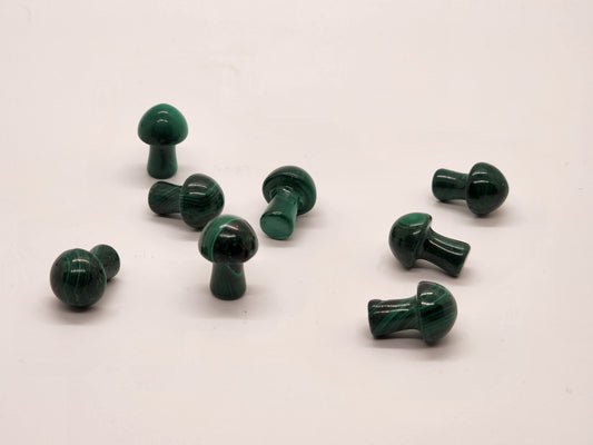 Mini Malachite Mushrooms